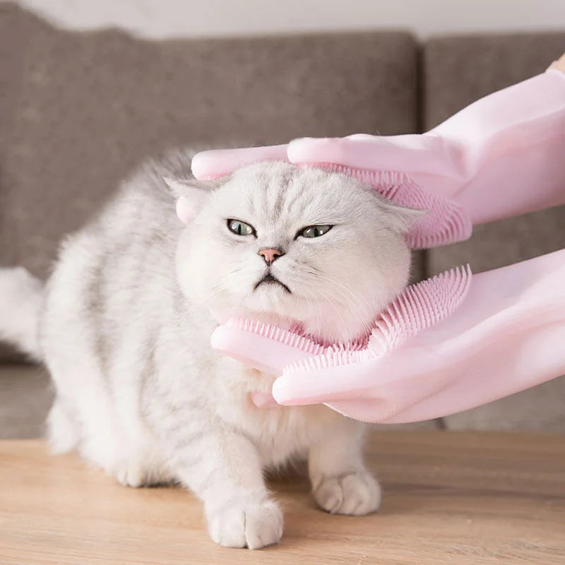 Grooming and Care