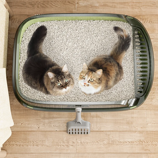 Cat Litter Box