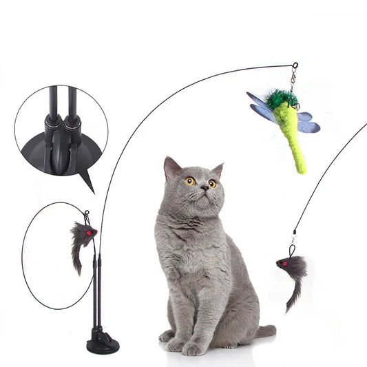 Cat Toys Simulation Bird