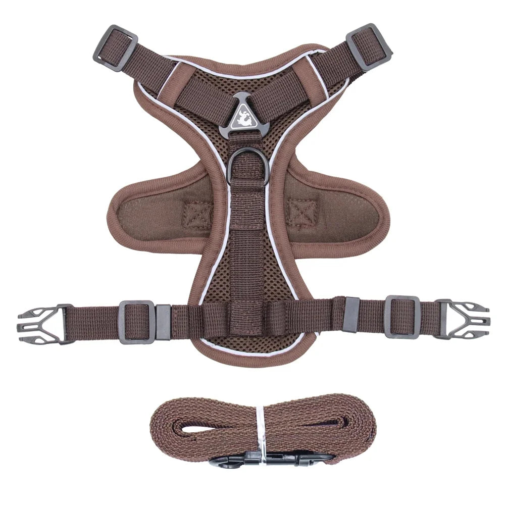 Cat Harness and Leash Set