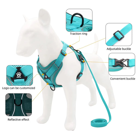 Cat Harness and Leash Set