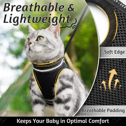 Cat Harness and Leash Set