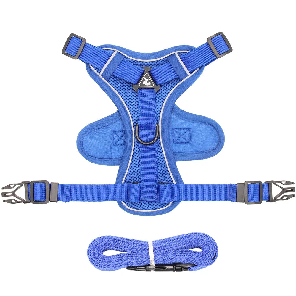 Cat Harness and Leash Set