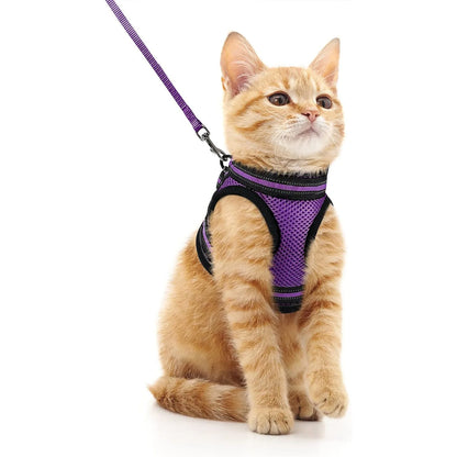 Cat Harness and Leash Set