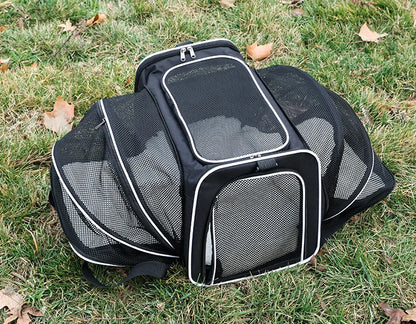 Pet Carrier Bag