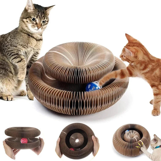 Magic Scratch Board Toy for Cats