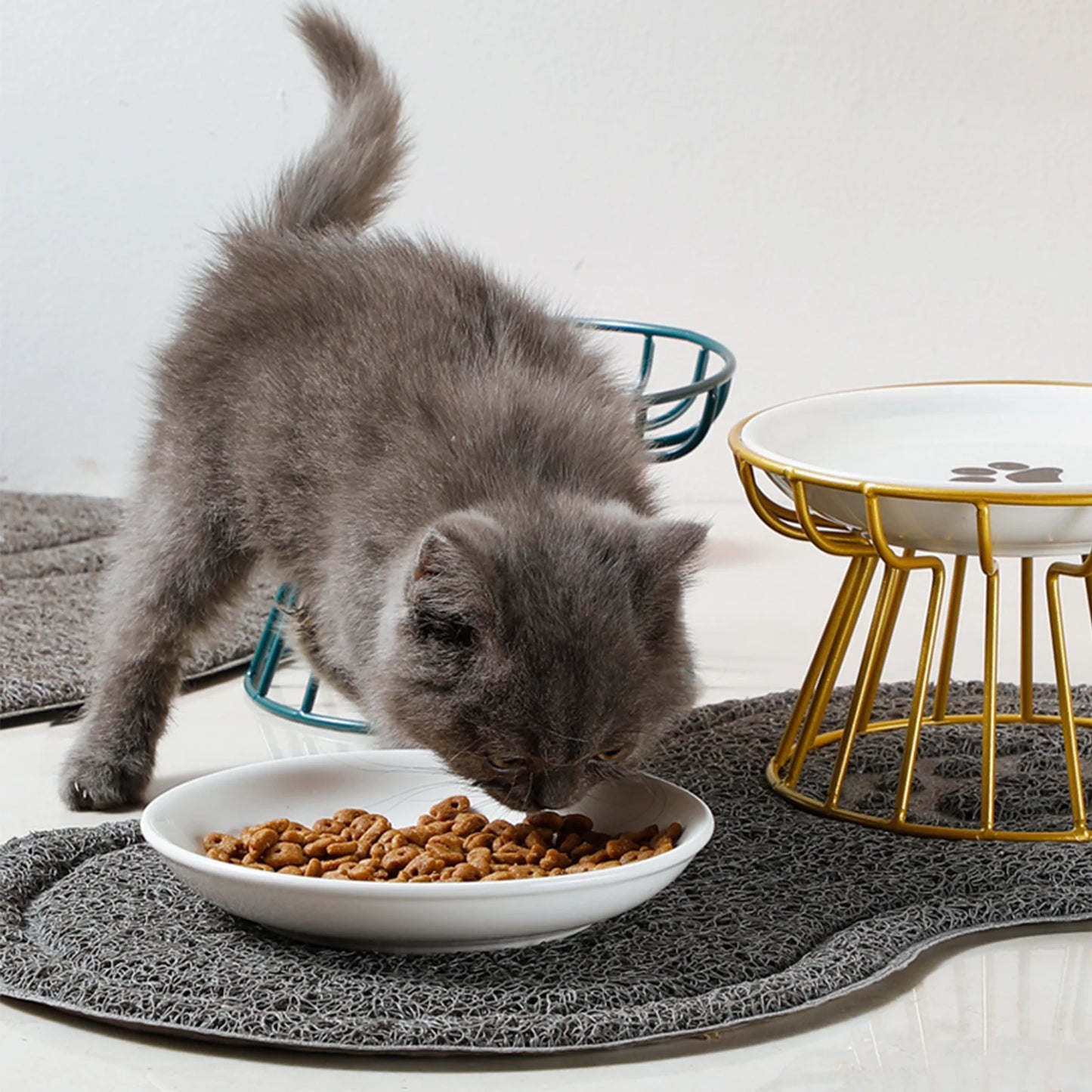 Cat Bowl