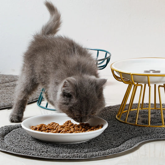 Cat Bowl