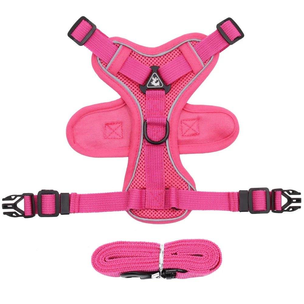 Cat Harness and Leash Set