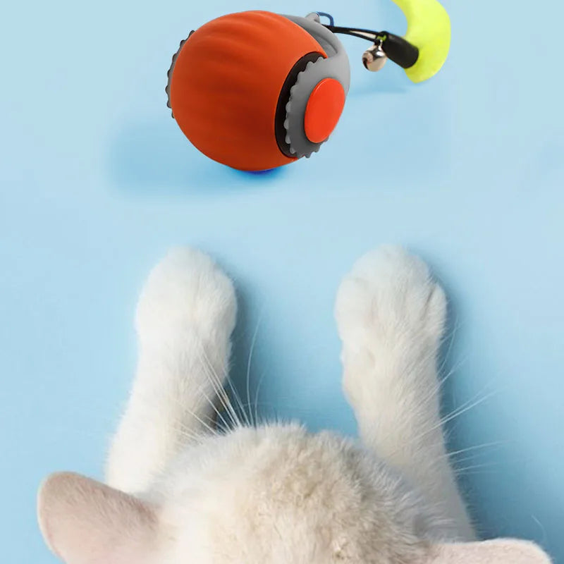 cat ball toy