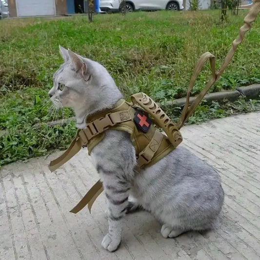 Outdoor Cat Vest