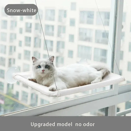 Cat Hammock Cat