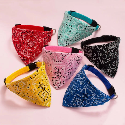Funny cat bandana