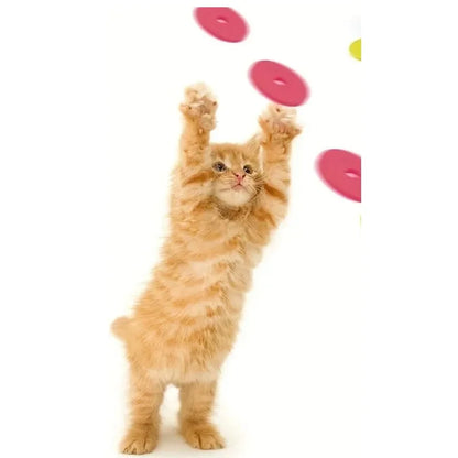 Funny Cat Toys Creative Turnip Gun