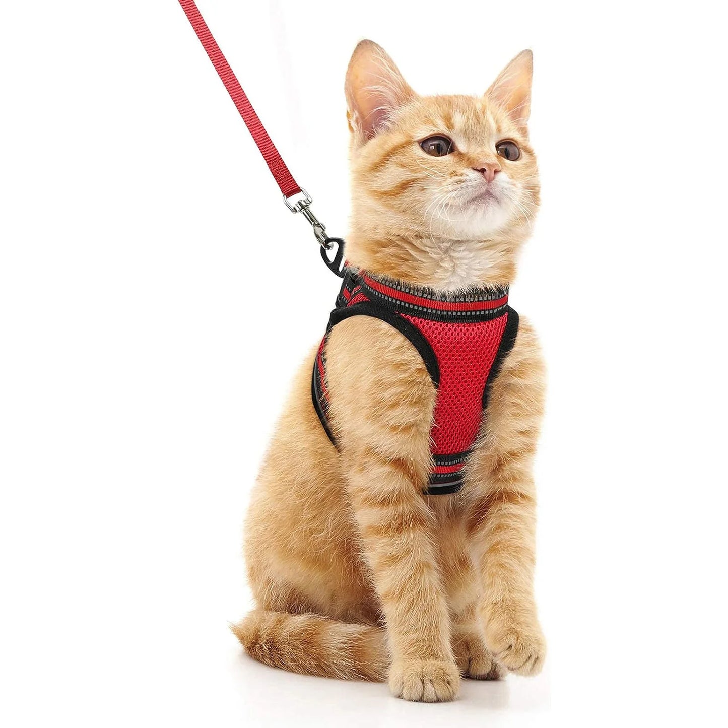 Cat Harness and Leash Set