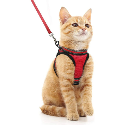 Cat Harness and Leash Set