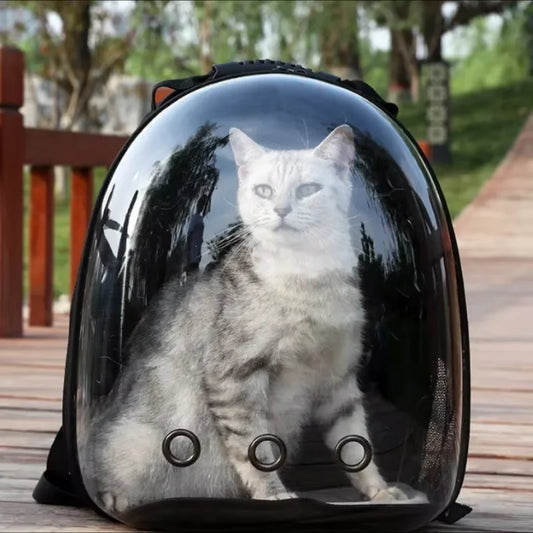 cat travel bag