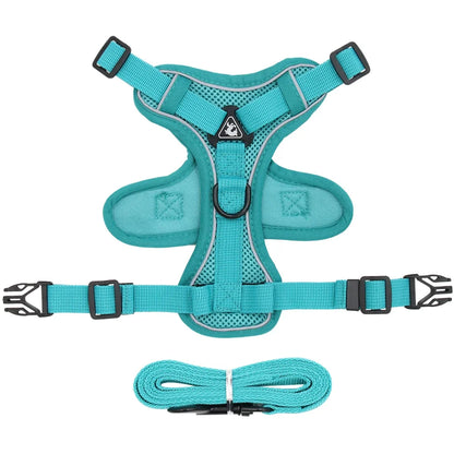 Cat Harness and Leash Set