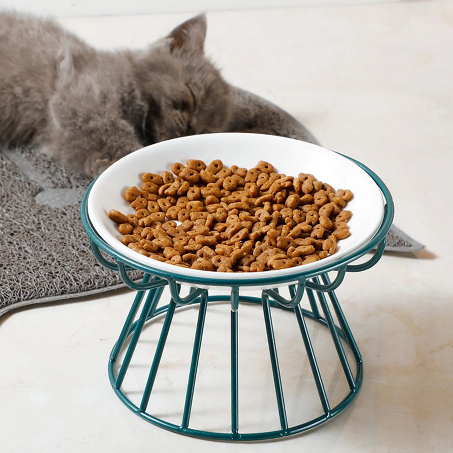 Cat Bowl
