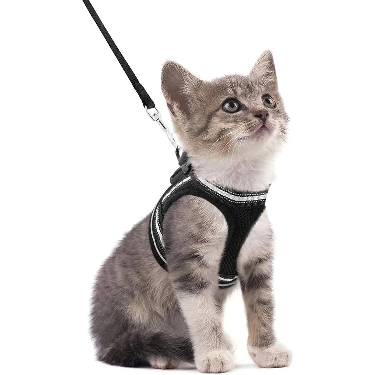 Cat Harness and Leash Set
