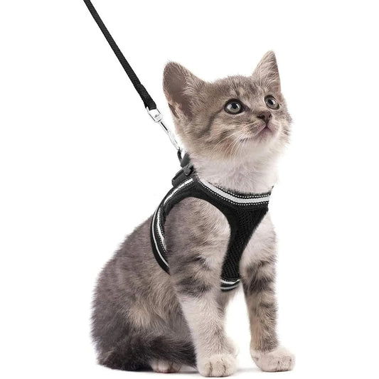 Cat Harness and Leash Set