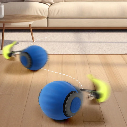 cat ball toy