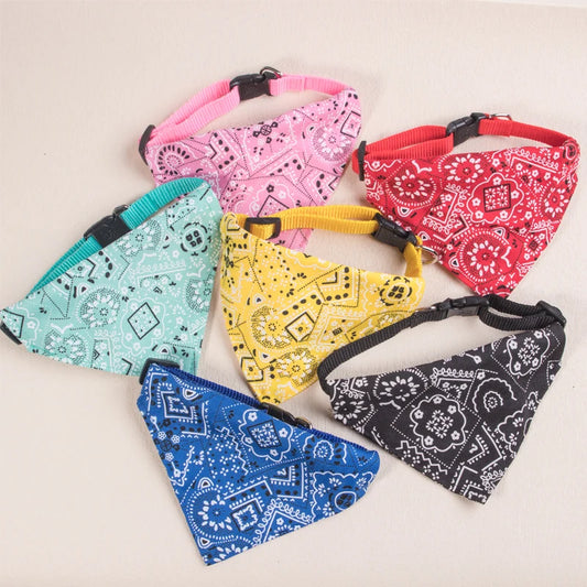 Funny cat bandana