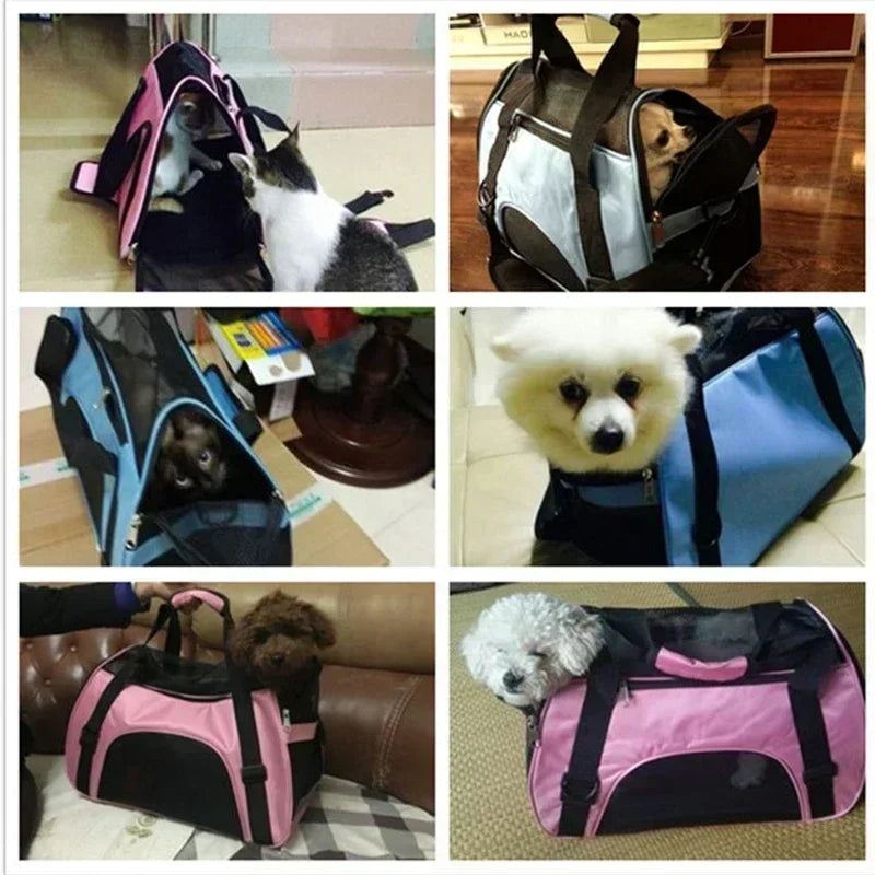 Cats Travel Bag
