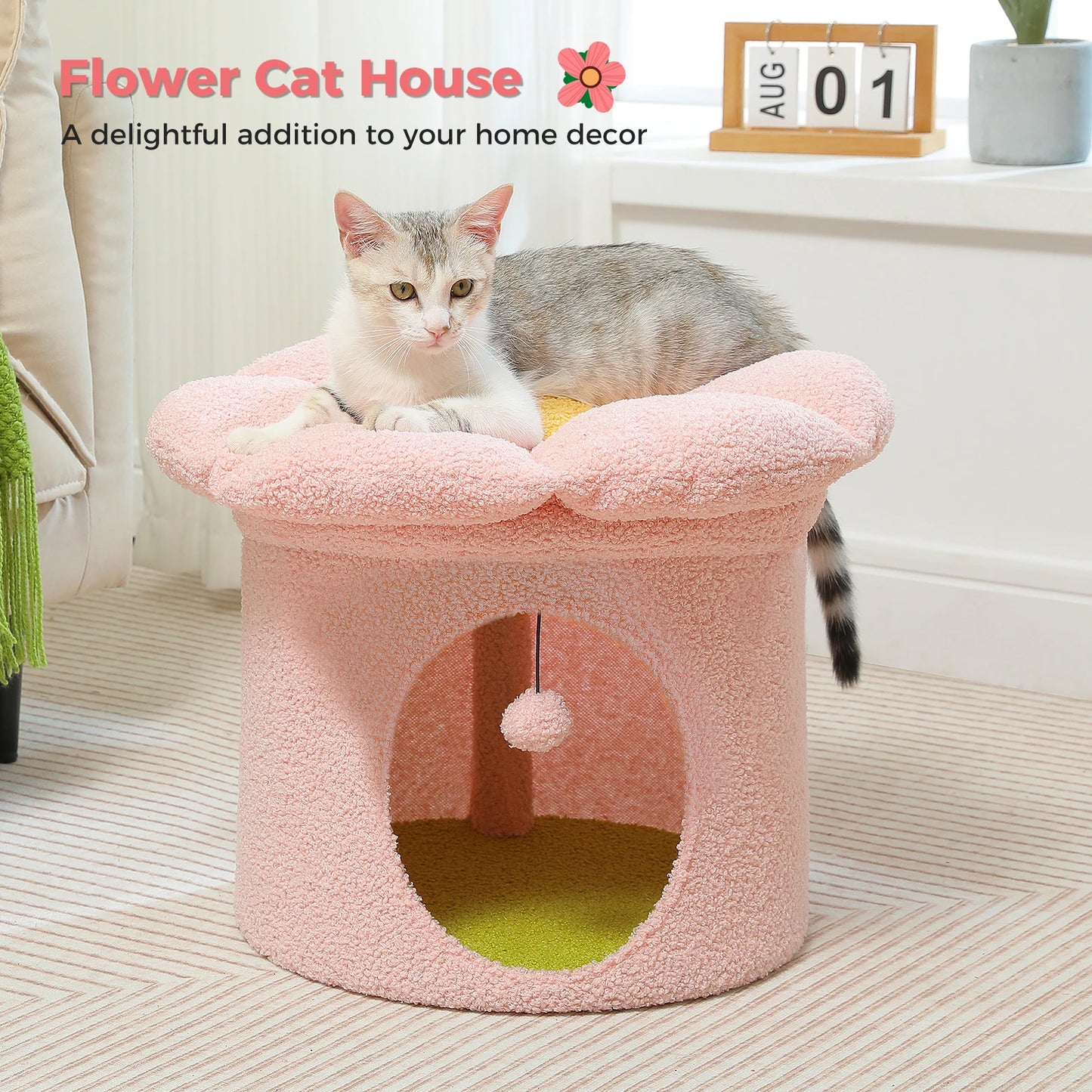 Cat Beds for Indoor Cats