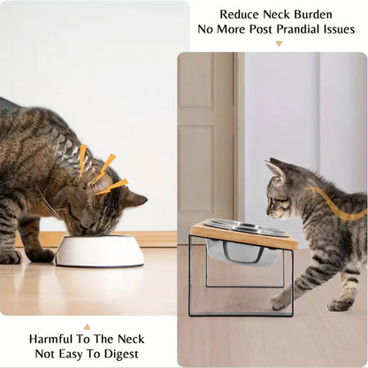 Elevated Cat Bowls