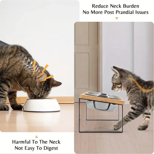 Elevated Cat Bowls