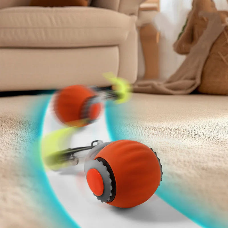 cat ball toy