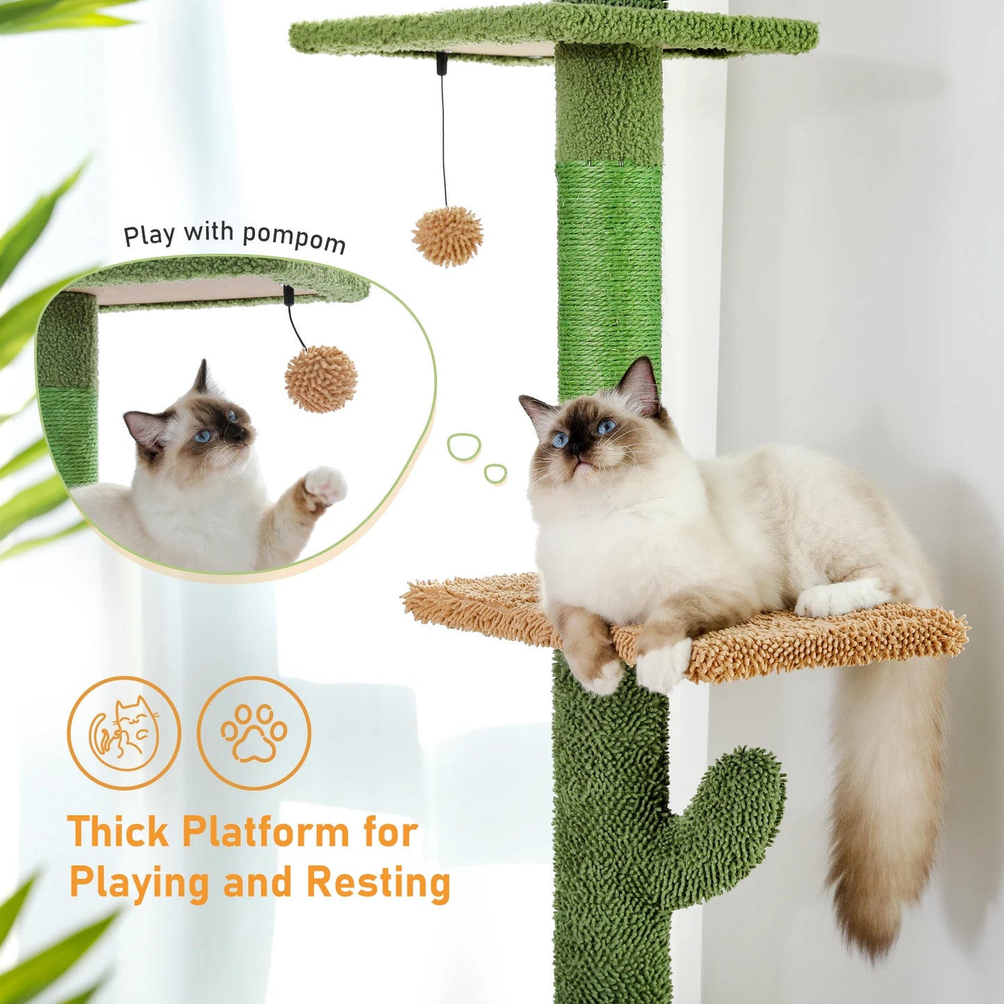 Cat Tree 5-Tier Floor to Ceiling Cat Tower Cactus