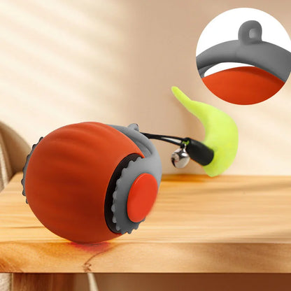cat ball toy