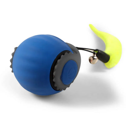 cat ball toy