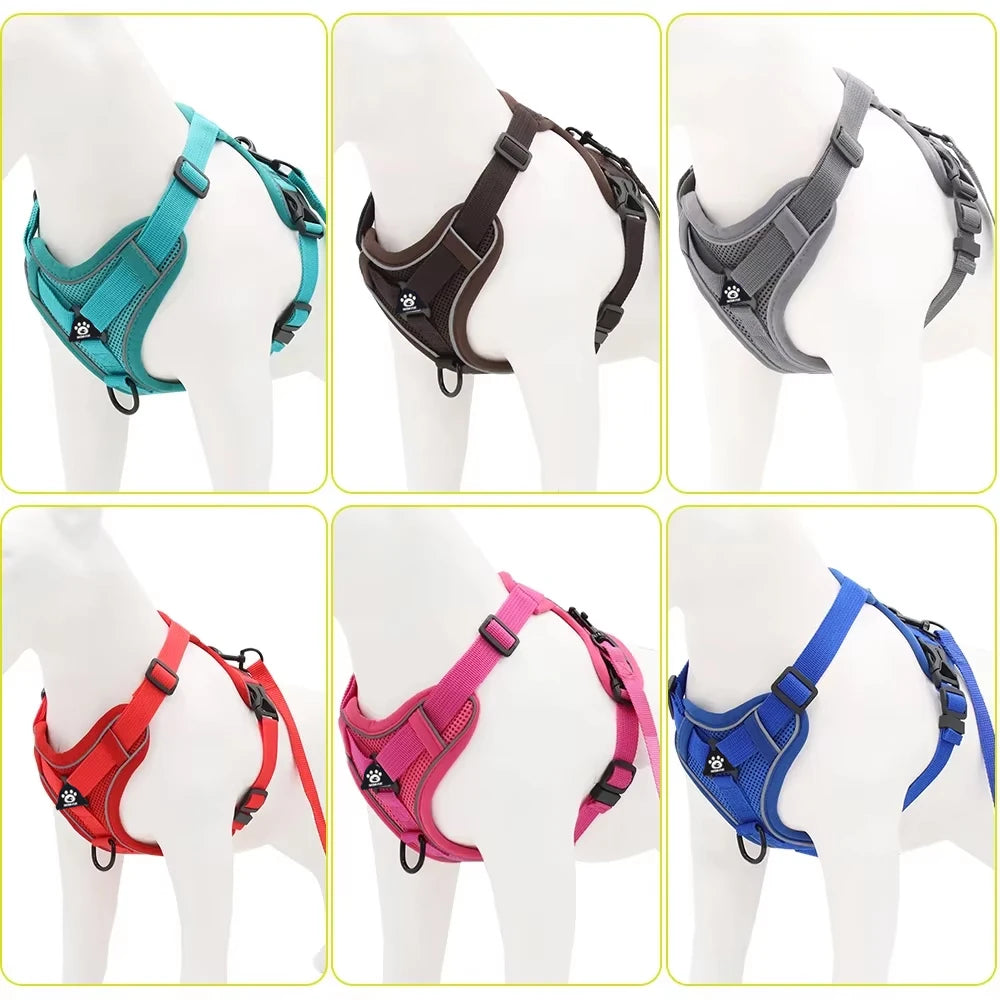 Cat Harness and Leash Set