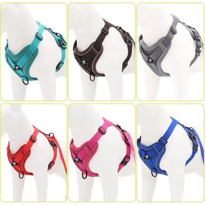 Cat Harness and Leash Set