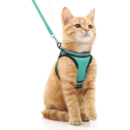 Cat Harness and Leash Set