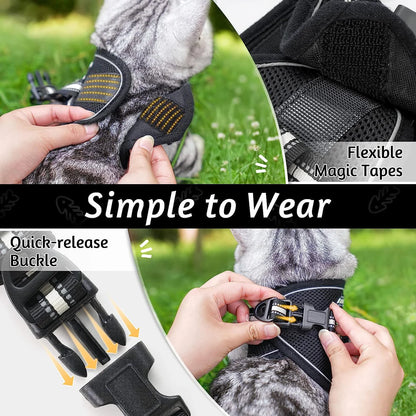 Cat Harness and Leash Set
