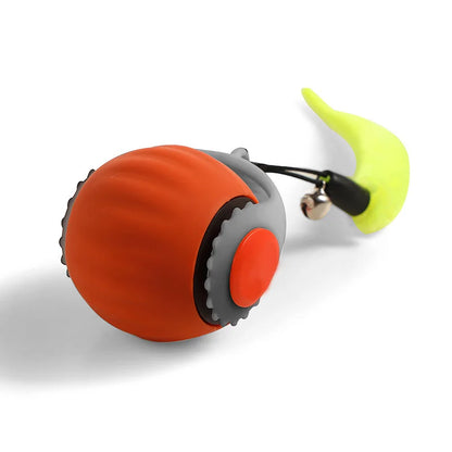 cat ball toy