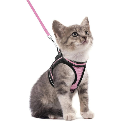 Cat Harness and Leash Set