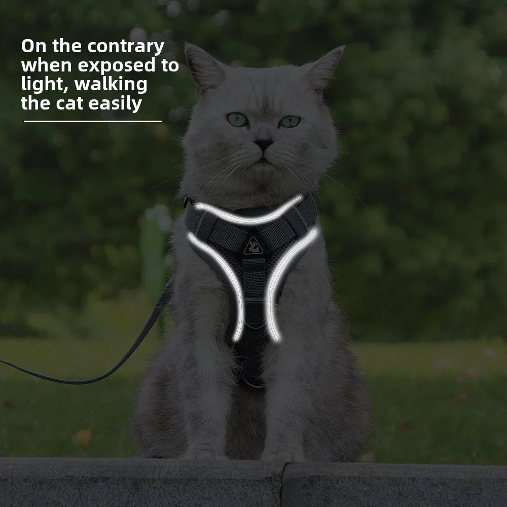 Cat Harness and Leash Set