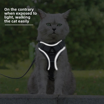 Cat Harness and Leash Set
