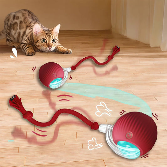 Rollraptor interactive pet toy ball