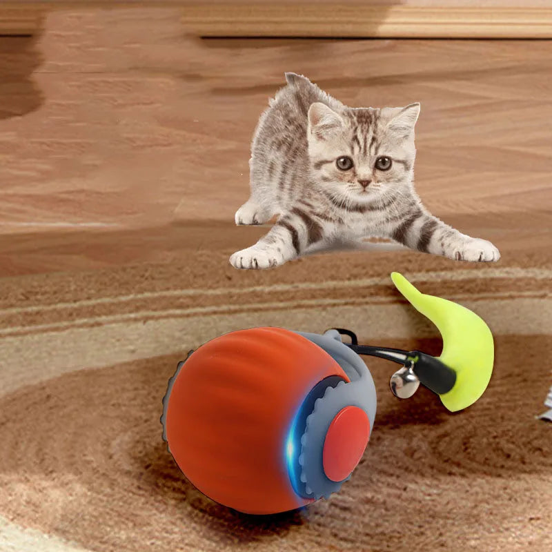 cat ball toy