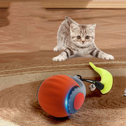 cat ball toy