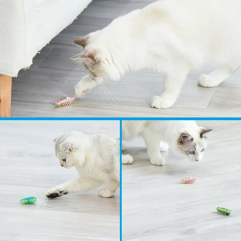 Mini Electric Bug toys